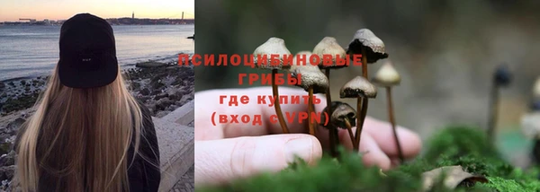 бошки Киренск